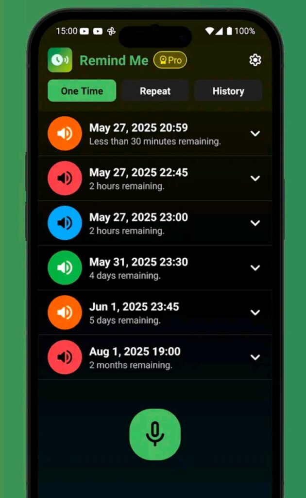 Never Forget Anything Voice Reminder App